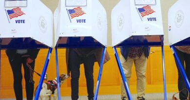 Northwestern University professor Thomas Miller ‘Nowcast’ model sees a Democratic sweep in Senate