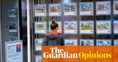 Britain’s housing crisis won’t be fixed without a new tax landscape | Phillip Inman
