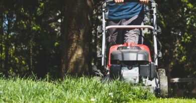 Gardeners urged to keep away from £5,000 advantageous for mowing garden at mistaken time on Saturday and Sunday