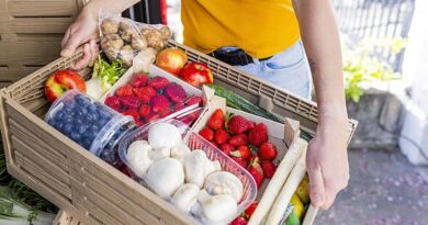 Most cost-effective UK on-line meals store revealed – not Tesco or Morrisons
