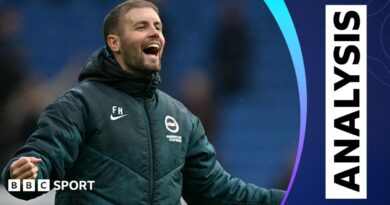 Premier League: Shay Given and Dion Dublin’s Brighton evaluation