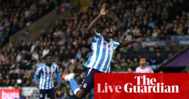 Coventry City v Newcastle United: Premier League – dwell