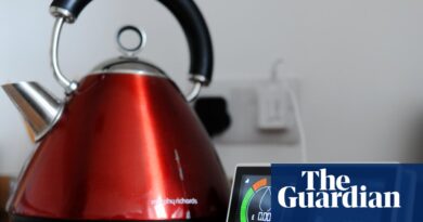 Labour might oversee worst parliament on report for residing requirements, examine warns | UK value of residing disaster