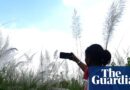 World Bank says ‘small AI’ may rework growing nations | AI (synthetic intelligence)