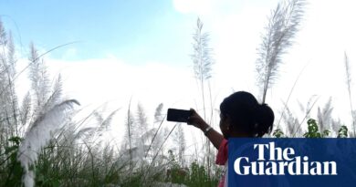 World Bank says ‘small AI’ may rework growing nations | AI (synthetic intelligence)