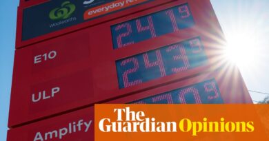 If turbocharged petrol costs are driving up inflation, then why are Australia’s unemployed on the road? | Greg Jericho