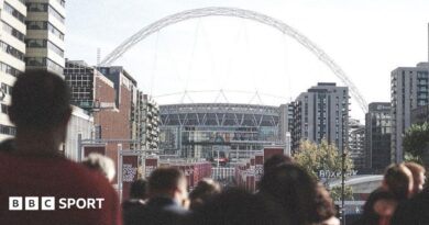 UK sport tickets: Value will increase analysed for the Ashes, Wimbledon, Silverstone and extra