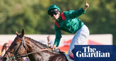 Daryz’s Arc popularity safe however retirement would rule out folk-hero standing