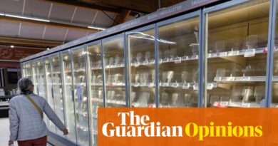 International stage leaders should clever as much as risk of cyber-attacks or rogue fridges might be least of their worries | Heather Stewart