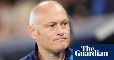 Millwall’s Alex Neil criticised for his feedback on stoppage for alleged racism
