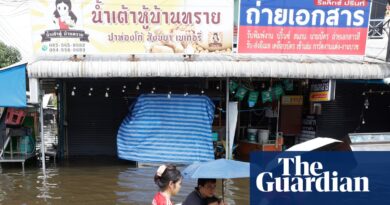 Developing nations face triple shock from vitality disaster, El Niño and borrowing prices, UN warns | Economics