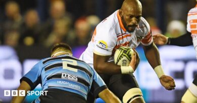 European Challenge Cup: Cheetahs to play European video games in Swansea