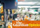 What the claw arcade sport tells us about the price of residing disaster | Zoe Williams