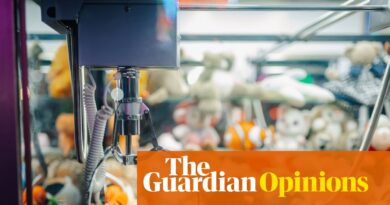 What the claw arcade sport tells us about the price of residing disaster | Zoe Williams