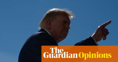 Trump’s current statements on the economic landscape are much more bonkers than common | Steven Greenhouse