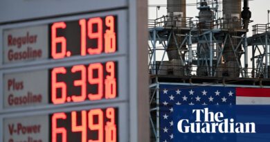 Trump’s take care of Putin can have little impression on US diesel costs, consultants say | Trump administration