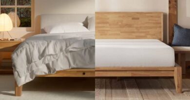 Thuma Vs. Silk & Snow Comparability (2026): Is the Cheaper Bed Frame Price It?