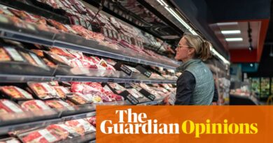 Trump vowed to reduce prices, but his policies have fueled US inflation | Steven Greenhouse in New York