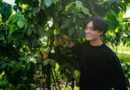 The Younger Entrepreneurs Giving Japan’s Previous Businesses a Second Life