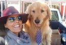 California Native: My Favourite Spot for a Weekend Journey Is Idyllwild