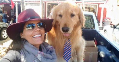 California Native: My Favourite Spot for a Weekend Journey Is Idyllwild