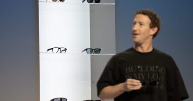 Netherlands Considers Meta Glasses Ban As Retailers Pause Gross sales