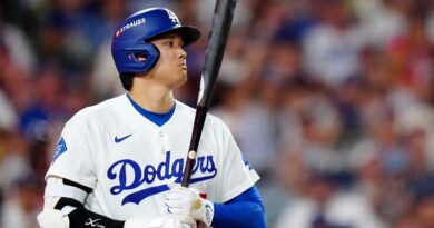 How to Watch Dodgers Vs. Brewers: National League Championship Series Stay Streams and Schedule