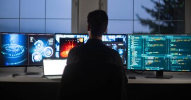 Infacet the Cyber Flaw Scramble That Introduced the AI Risk to Life