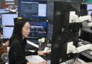 Semiconductor Shares Drive Financial hubs Extra Than Oil, Goldman Says