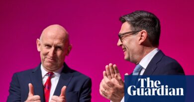 Healey gives upbeat imaginative and prescient however sheds little mild on how will probably be paid for | Labour convention 2026