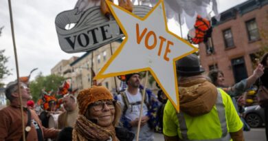Newsreel midterms event: Democrats, data centers and who gets rich off AI