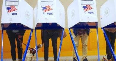 Northwestern University professor Thomas Miller ‘Nowcast’ model sees a Democratic sweep in Senate