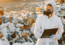 Information Integrity: AI Amplifies Dangerous Data
