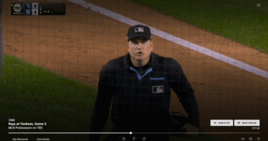 Yankees’ game-tying house run is negated attributable to spectator interference