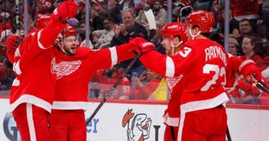 Red Wings signal 2-time All-Star ahead Alex DeBrincat to 7-year contract price $13 million per yr