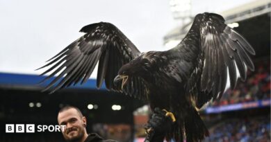 Animal rights group Peta asks Crystal Palace to retire bald eagle mascot