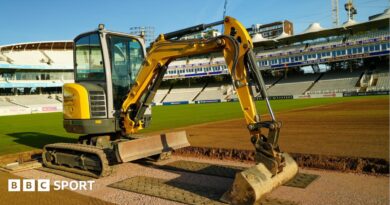 Lord’s digs up cricket pitch – why the drastic motion and what subsequent?