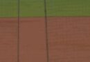 MLB: Xander Bogaerts narrowly avoids a line drive and a damaged bat shard.