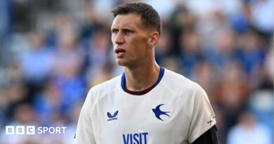 Krystian Bielik: Cardiff defender makes dying risk declare following fan conflict