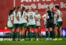 Northern Eire: Michael McArdle’s aspect start lengthy highway to Brazil with Global community Cup play-off