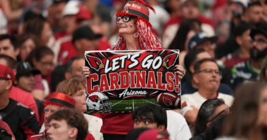 Cardinals followers are Top 5 in constructive and foul-mouthed feedback, examine says