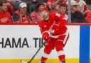 Red Wings signal Alex DeBrincat to 7-year contract price $13 million per yr
