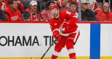Red Wings signal Alex DeBrincat to 7-year contract price $13 million per yr
