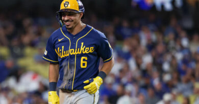 David Hamilton powers Brewers to World Series