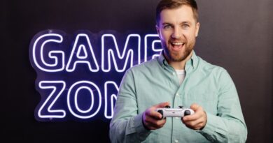 Sweepstakes Gaming Business: How the Mannequin Works