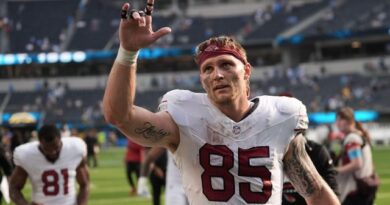 NFL suspends officers Jeff Seeman, Adrian Hill for conduct towards gamers